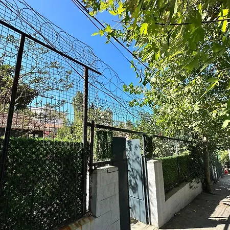 Hotell House With Natural Garden In The Center