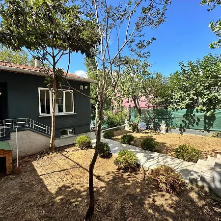 House With Natural Garden In The Center *