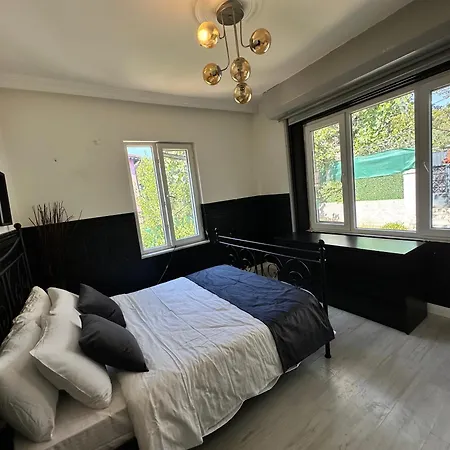 House With Natural Garden In The Center