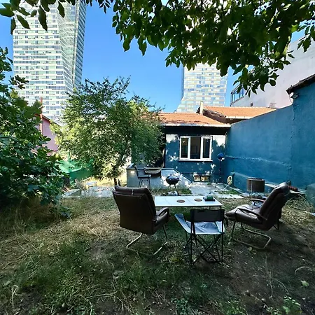 House With Natural Garden In The Center 伊斯坦布尔