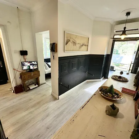 House With Natural Garden In The Center Hotel Istanbul
